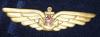 Foto086 Знак летчика палубной авиации СССР